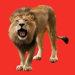 Download Lion Booth app