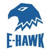 E-Hawk