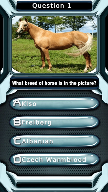 My Horse & Pony Breeds Quiz