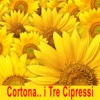 Cortona - i tre cipressi