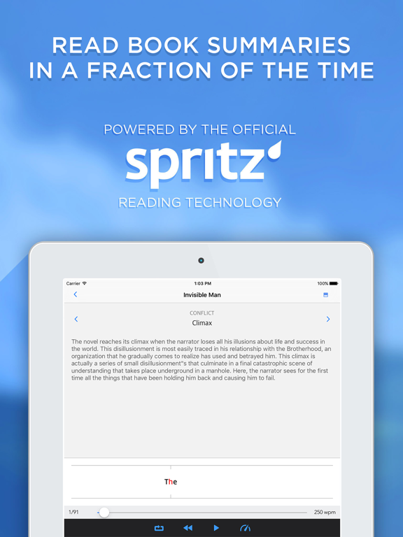Book Notes - Summaries of Classic Literature Read Study Guides with Spritz Spark Cliffsのおすすめ画像1