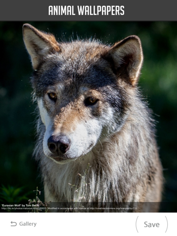 Screenshot #5 pour Animal Wallpapers!