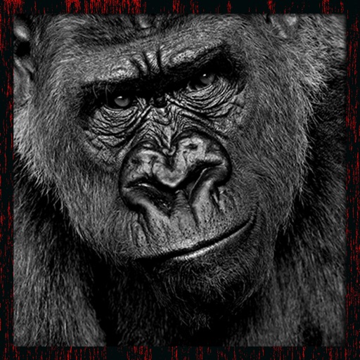 Ultimate Gorilla Animal Hunting Sim Icon