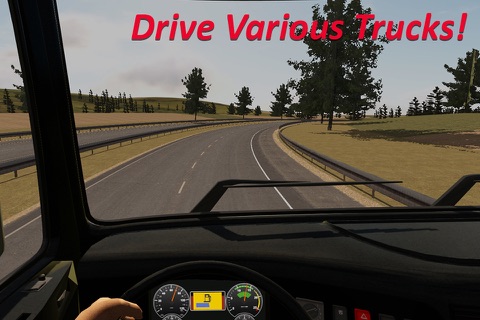 Heavy Truck Simulator screenshot 4