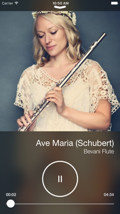 Flute Music & Songs Free screenshot 3