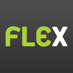 Flex Vehicle Service