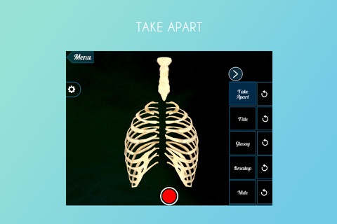 Human Ribs 3D screenshot 2