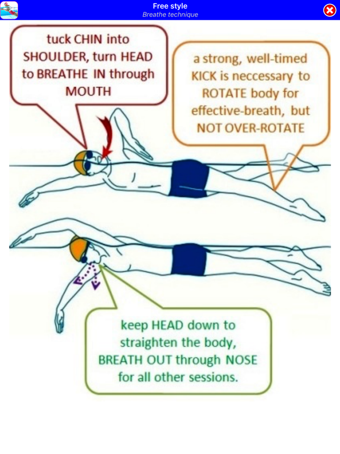 Swimming Step by Step