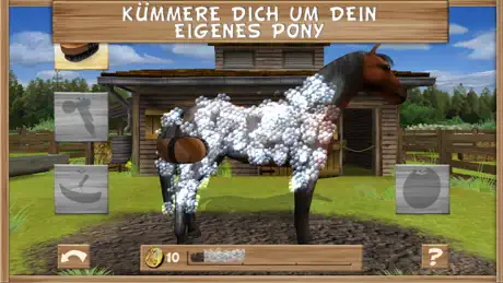 Pony Trails