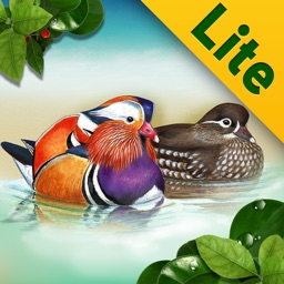 Birds of Korea LITE for iPad