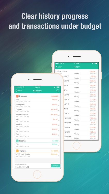 Budget Wiz - Monthly Home Budget Planner & Manager