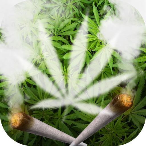 Weed Wallpaper Maker – Marijuana Background Images with Cool Grass Lock Screen Themes icon