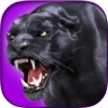 Black Panther Hunter - Wild Sniper 3D Assassin - iPhoneアプリ