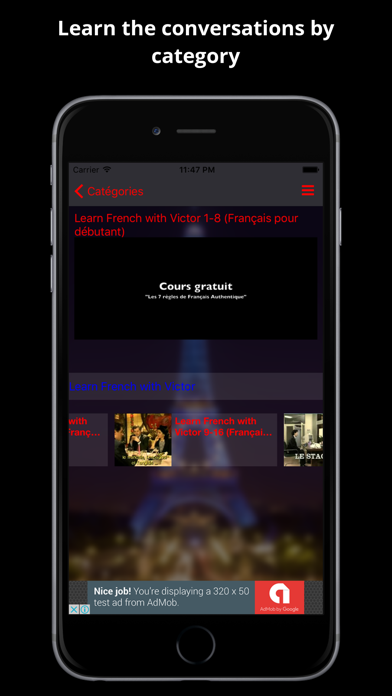 Screenshot #2 pour Français facile
