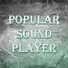 Popular Sound Player negative reviews, comments