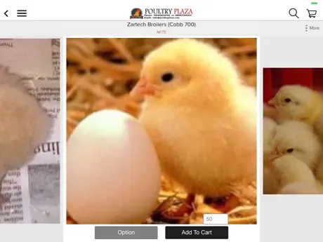 Poultry Plaza