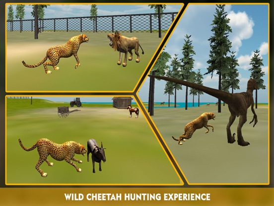 Wildlife cheetah Attack simulator 3D – Chase the wild animals, hunt them in this safari adventure iPad app afbeelding 2