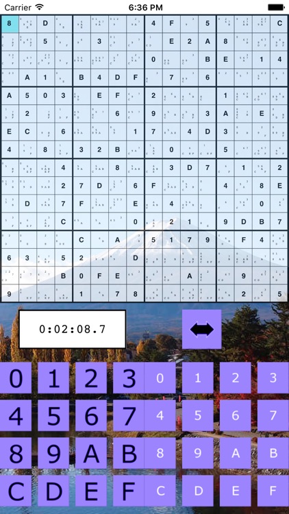 The Big Sudoku