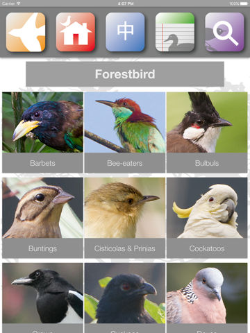 香港鳥類 screenshot 4