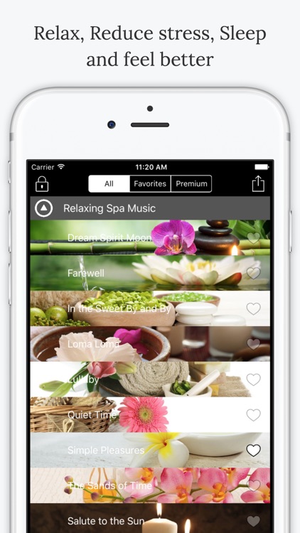 Relaxing Spa Music Pro