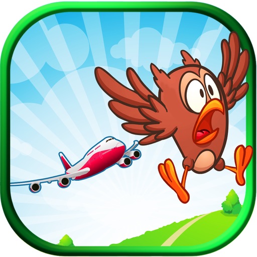 Danger Birds Flying - Air Traffic Mayhem icon