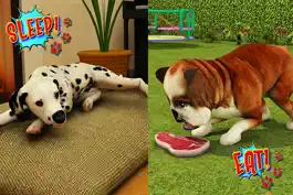 Game screenshot Pet Dog: World's Best Doggy hack