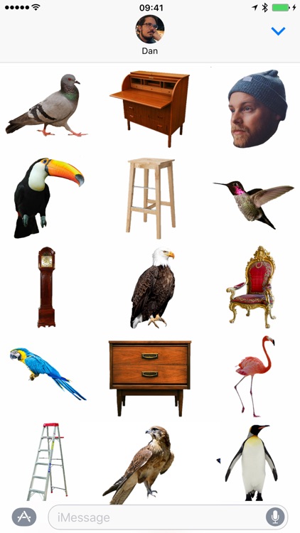 Birds on Furniture