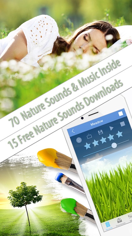 Relaxing Nature Sounds of Forest Stream, Smoothing Rain, Ocean Waves, Meadow Ambience, Calm Beach & Chirping Birds