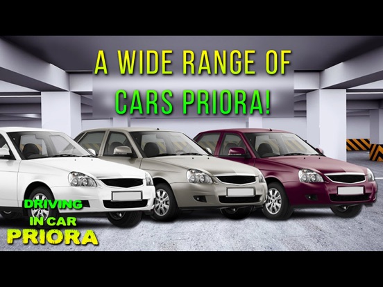 Screenshot #6 pour Driving In Car Priora