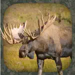 Moose Hunting Calls App Cancel