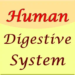 Human Digestive System Guide app icon