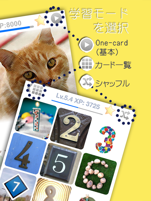 LingoCardsブラジルポルトガル語学習で勉強しよう(無料版)のおすすめ画像4