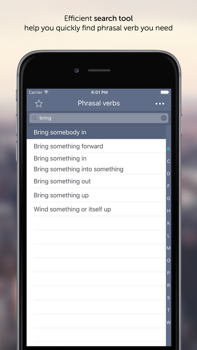 Phrasal Verbs for Bus... screenshot1