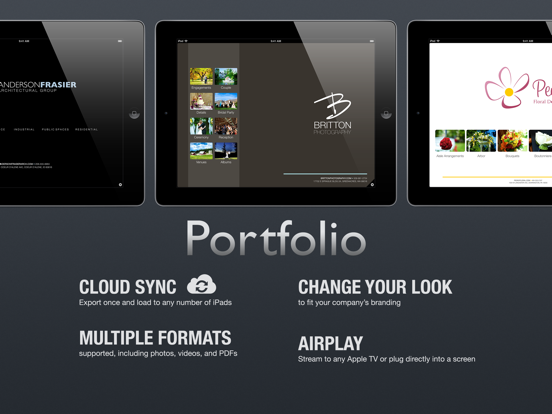 Screenshot #1 for Portfolio for iPad