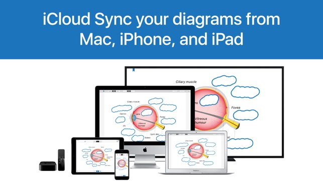 Flashcards for Diagrams - Study App for Biology, Psychology,(圖1)-速報App