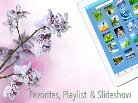 Screenshot #4 for Free Nature Music to Relax, Meditate & Sleep