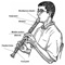 Learn how to play the Recorder with the help of these 158 tuitional video lessons