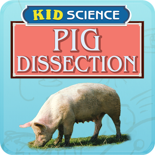 Pig Dissection icon