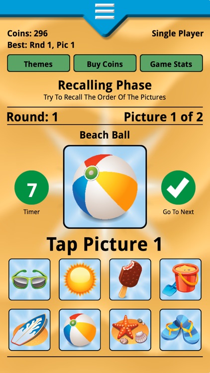 Picture Perfect Memory