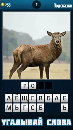 Чего не хватает? iPhone image 1