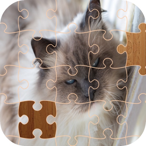 Cat Jigsaw Puzzle - Animal icon