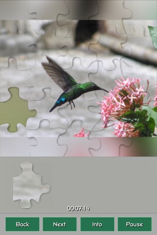 Hummingbirds Amazing Puzzles screenshot 4
