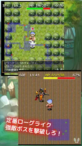 Game screenshot Lord of Rogue hack
