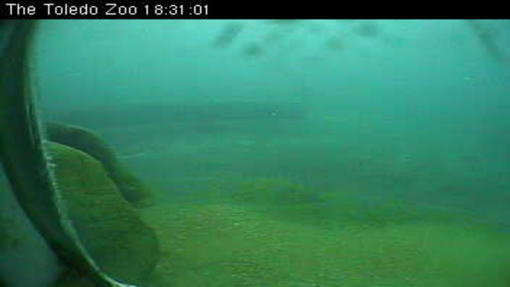 Screenshot #3 pour Telescreen – Live Public CCTV and Webcams