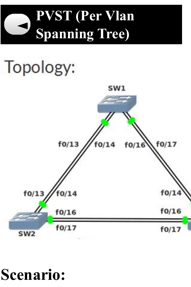 CCNA Switching Guide screenshot 4