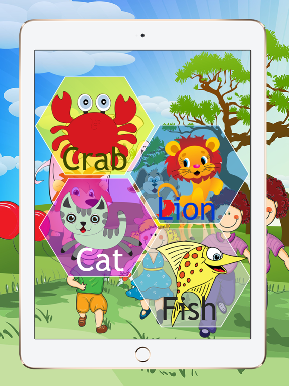 2nd Grade Baby Book Animal Flashcards For Kids or Kindergarden to Learn First Words With Soundsのおすすめ画像1