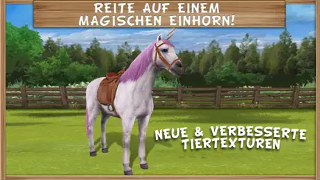 Pony Trails