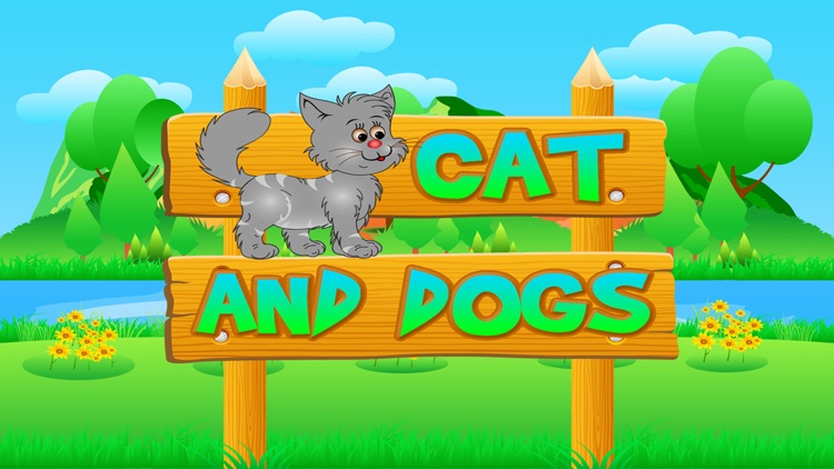 Cat and Dogs