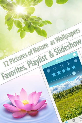 Free Nature Music to Relax, Meditate & Sleepのおすすめ画像3