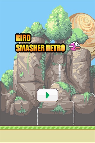 Bird smasher - super retro screenshot 2